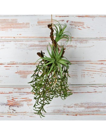 RAMA COLGANTE CON TILLANDSIAS