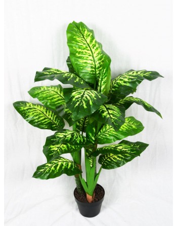 DIEFFENBACHIA (120 cm.)