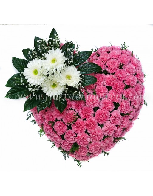 CORAZÓN DE CLAVELES