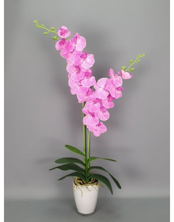 PHALENOPSIS ARTIFICIAL BASE...