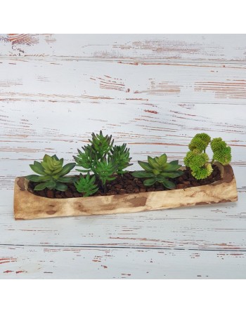 TRONCO CON 4 PLANTAS CRASAS