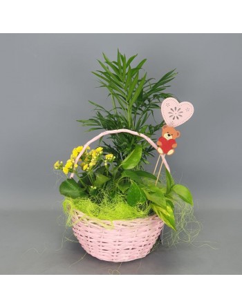 CESTA ROSA DE PLANTAS 2 PIN