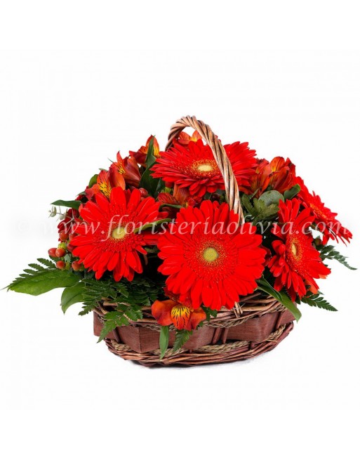 CESTA DE GERBERAS Y ALSTROEMERIAS